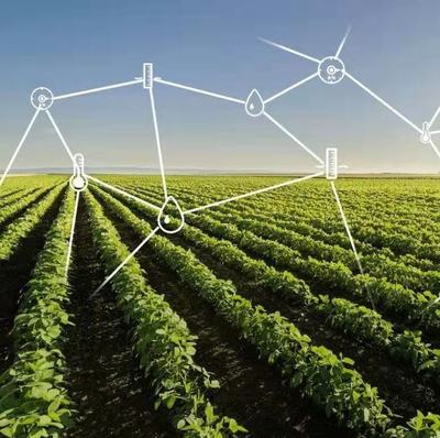 大力推動鄉(xiāng)村文化振興與農(nóng)業(yè)技術(shù)開發(fā)的雙輪驅(qū)動