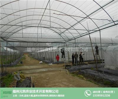 福建塑料溫室大棚造價解析及水果種植應(yīng)用——以福州元凱溫室大棚為例