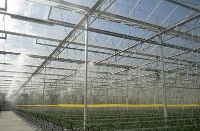 歐荷生態(tài)小番茄 全自動化生長環(huán)境控制的技術(shù)解析